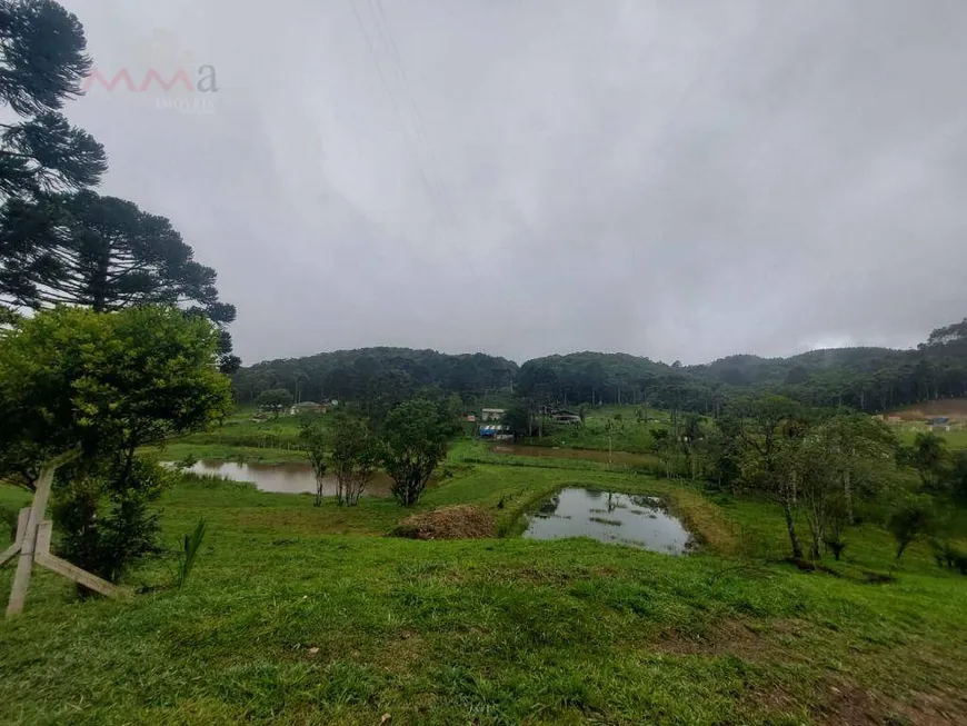 Foto 1 de Fazenda/Sítio à venda, 5000m² em Matulão, Tijucas do Sul
