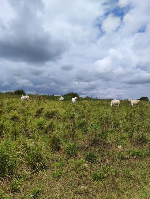 Foto 1 de Fazenda/Sítio com 4 Quartos à venda, 326m² em , Ielmo Marinho