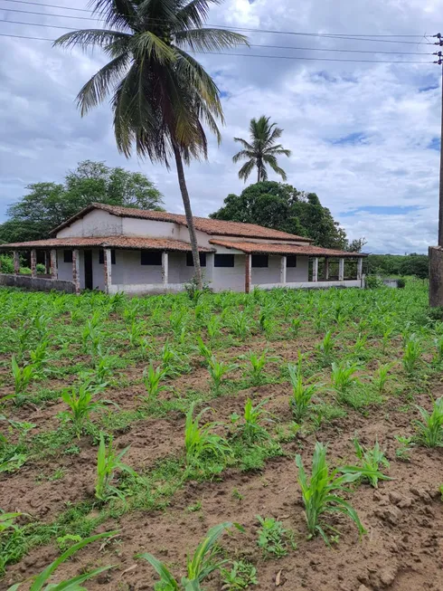 Foto 1 de Fazenda/Sítio com 4 Quartos à venda, 205000m² em Centro, Bom Jesus