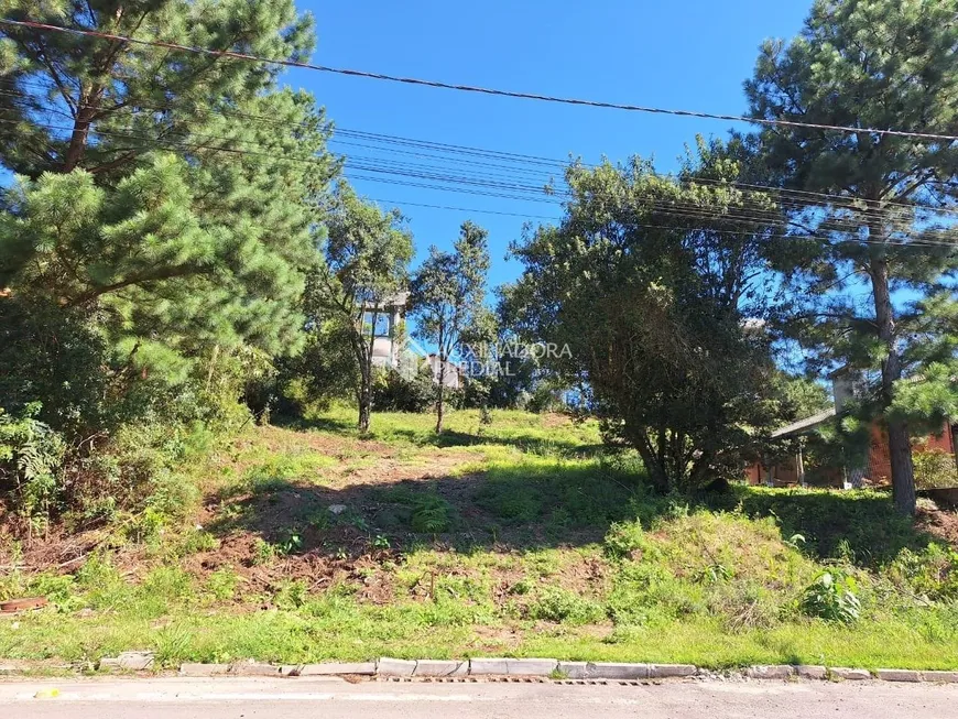 Foto 1 de Lote/Terreno à venda, 627m² em Mato Queimado, Gramado