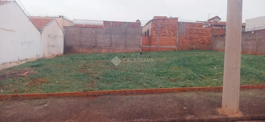 Foto 1 de Lote/Terreno à venda, 10m² em Parque Residencial J Macedo, São José do Rio Preto