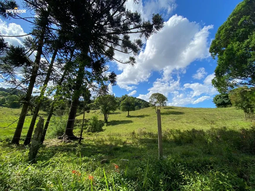 Foto 1 de Imóvel Comercial à venda, 20000m² em Sao Virgilio, Caxias do Sul