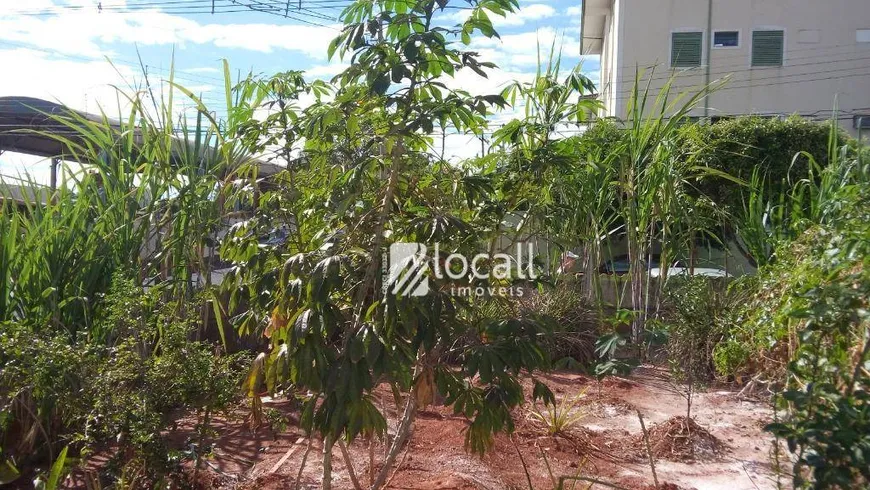 Foto 1 de Lote/Terreno para alugar, 151m² em Vila Elvira, São José do Rio Preto