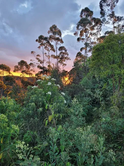 Foto 1 de Lote/Terreno com 1 Quarto à venda, 5000m² em Centro, Camanducaia