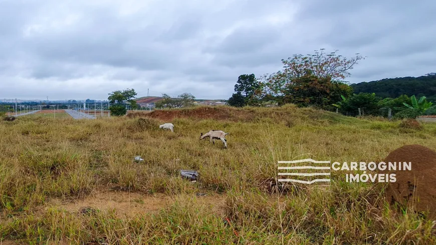 Foto 1 de Lote/Terreno à venda em Jardim Panorama, Caçapava