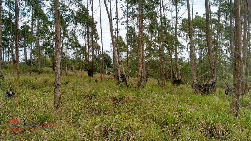 Foto 1 de Lote/Terreno à venda, 7000m² em Jardim Europa, Vargem Grande Paulista