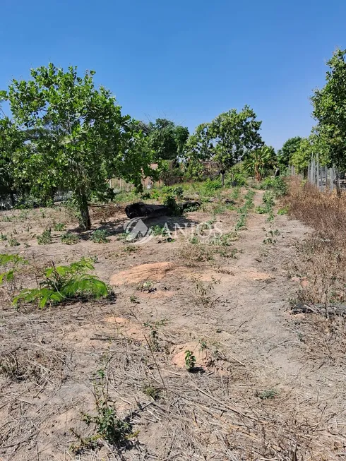 Foto 1 de Fazenda/Sítio com 1 Quarto à venda, 1000m² em Area Rural de Sinop , Sinop