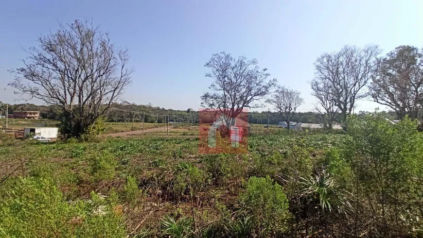 Foto 1 de Lote/Terreno à venda, 328m² em João Alves, Santa Cruz do Sul