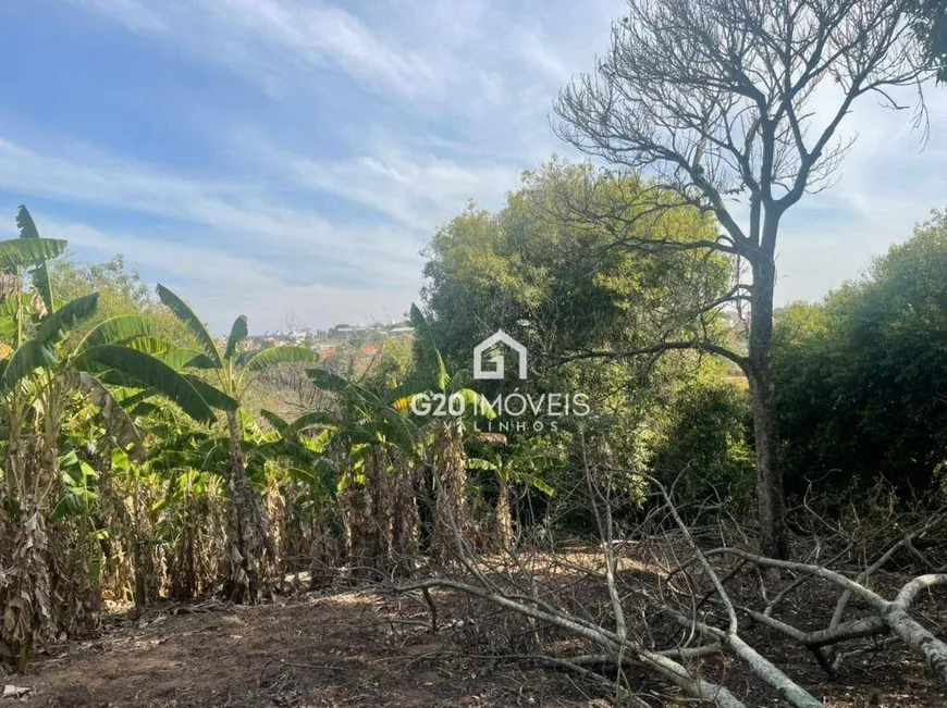 Foto 1 de Lote/Terreno à venda, 26200m² em Vila Capuava, Valinhos