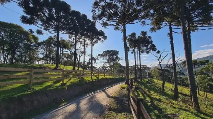 Foto 1 de Lote/Terreno à venda em Santa Tereza, Urubici