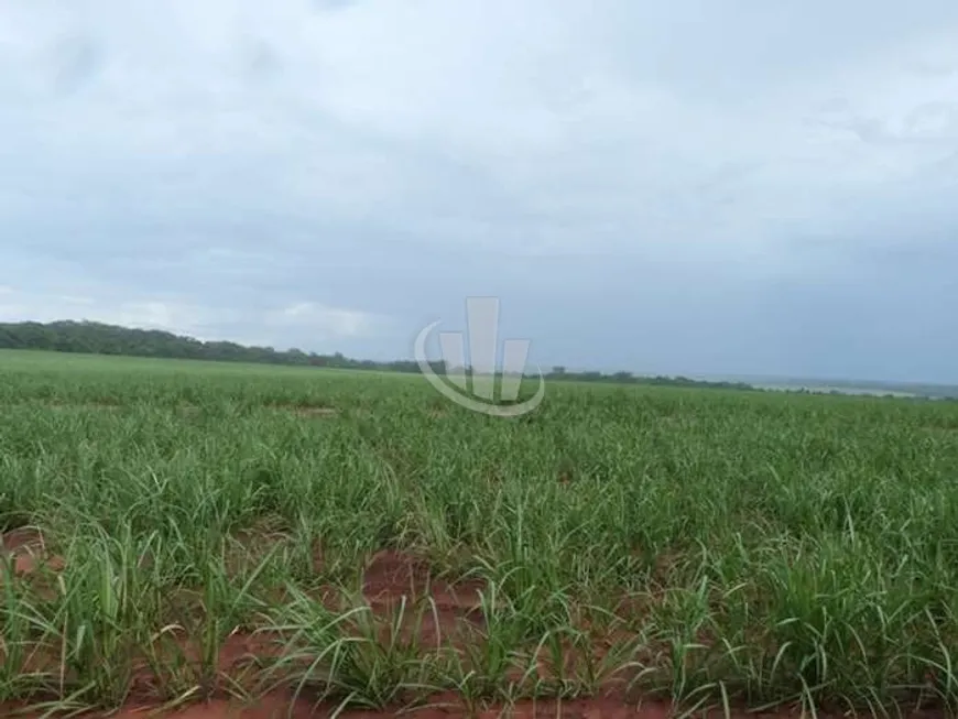 Foto 1 de Fazenda/Sítio com 1 Quarto à venda, 20m² em , Boa Esperança do Sul