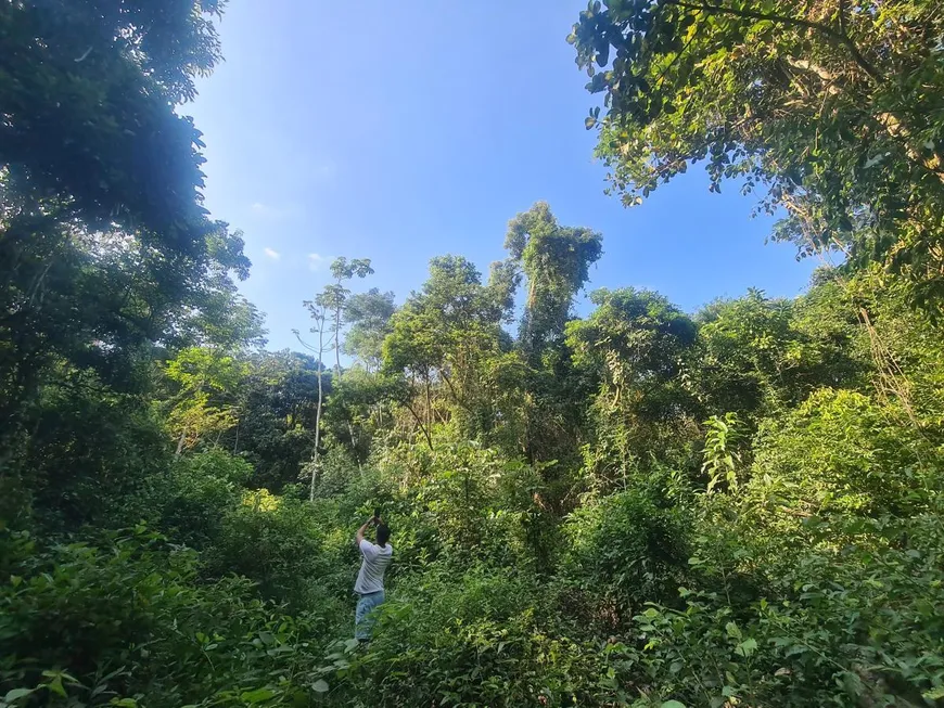 Foto 1 de Lote/Terreno à venda, 10000m² em Tinguá, Nova Iguaçu