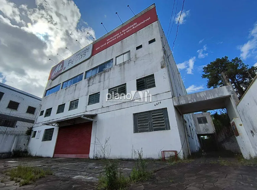 Foto 1 de Ponto Comercial à venda, 2700m² em Bom Principio, Gravataí