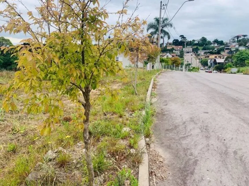 Foto 1 de Lote/Terreno à venda, 428m² em Santo Antão, Bento Gonçalves