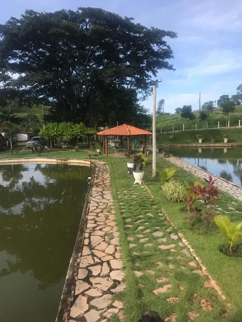 Foto 1 de Fazenda/Sítio com 3 Quartos à venda, 14640000m² em Setor Central, Campinorte