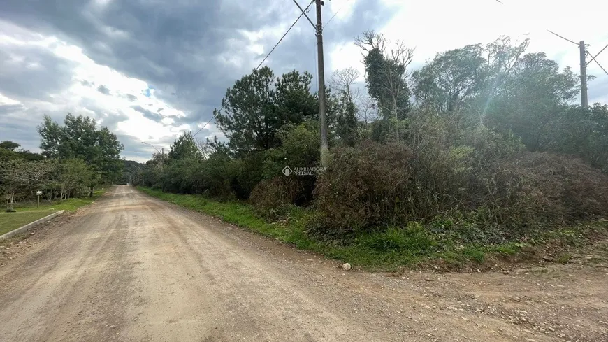 Foto 1 de Lote/Terreno à venda, 800m² em Alpes Verdes, Canela