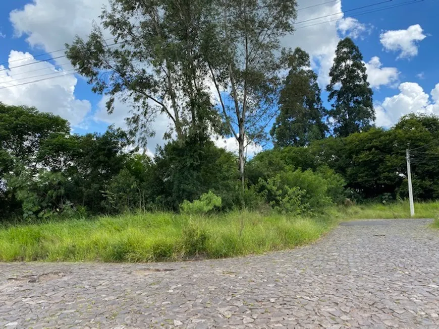 Foto 1 de Lote/Terreno à venda, 220m² em Campestre, São Leopoldo