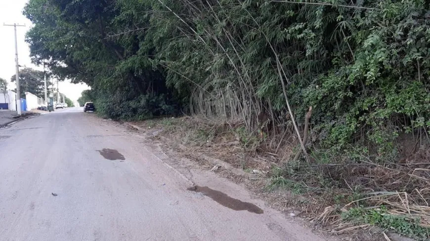 Foto 1 de Fazenda/Sítio com 1 Quarto à venda, 5570m² em Santa Terezinha, Paulínia