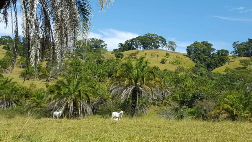 Foto 1 de Fazenda/Sítio com 3 Quartos à venda, 550m² em Zona Rural , Morrinhos