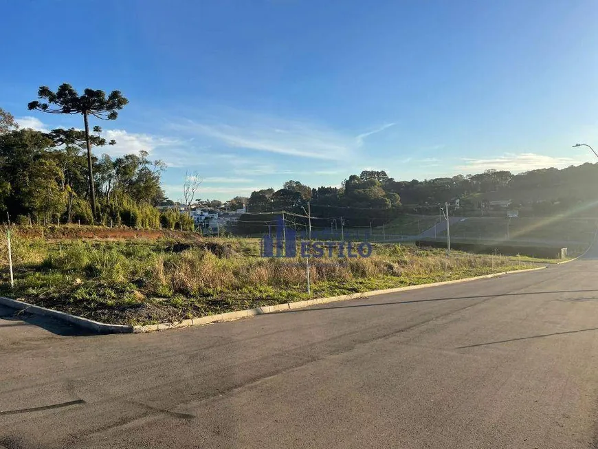 Foto 1 de Lote/Terreno à venda, 360m² em Nossa Senhora da Saúde, Caxias do Sul