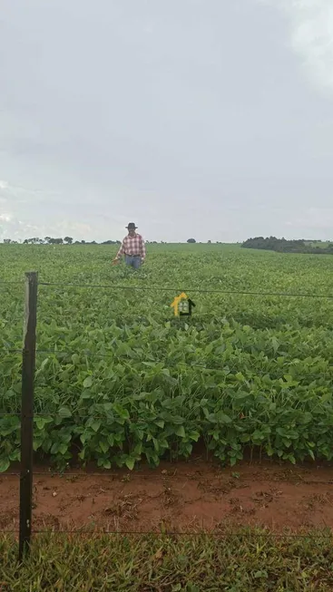 Foto 1 de Fazenda/Sítio à venda, 19021200m² em Centro, Santa Rita do Araguaia