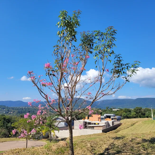 Foto 1 de Lote/Terreno à venda, 1273m² em Medeiros, Itupeva