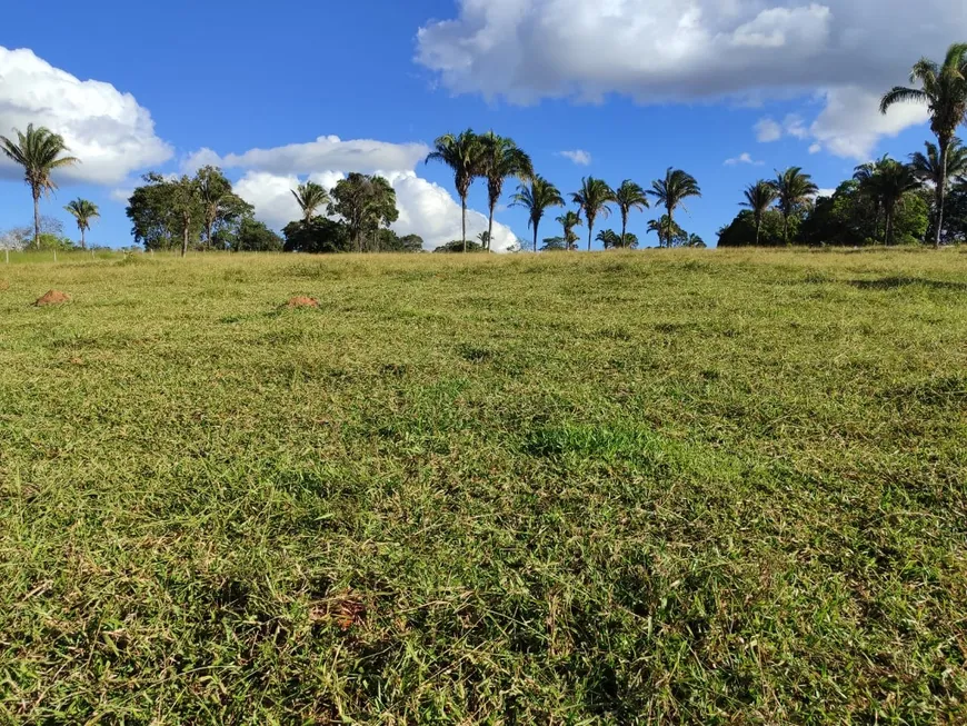 Foto 1 de Fazenda/Sítio com 5 Quartos à venda, 8m² em , Cocalzinho de Goiás