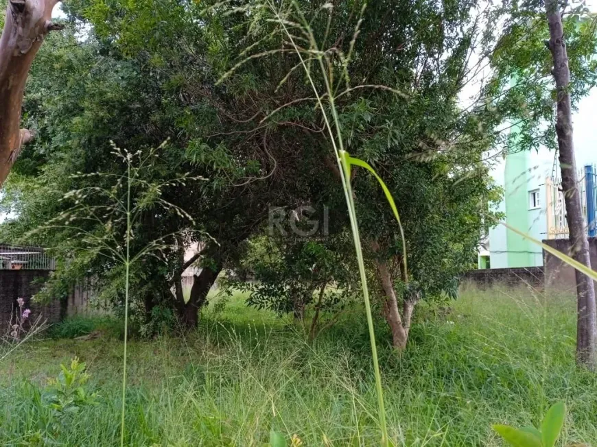 Foto 1 de Lote/Terreno à venda, 353m² em Tristeza, Porto Alegre