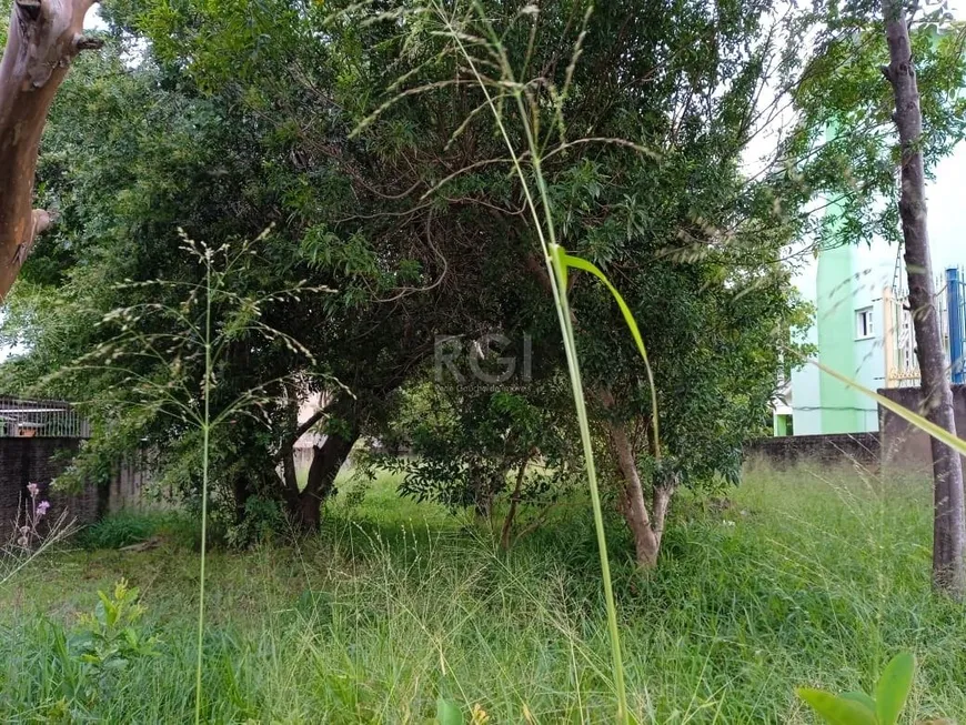 Foto 1 de Lote/Terreno à venda, 354m² em Tristeza, Porto Alegre