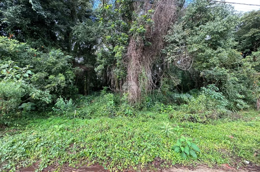 Foto 1 de Lote/Terreno à venda, 285m² em Fraron, Pato Branco