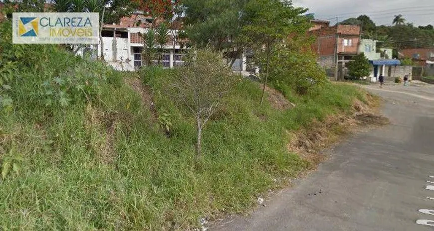 Foto 1 de Lote/Terreno à venda, 396m² em Jardim São Miguel, Cotia