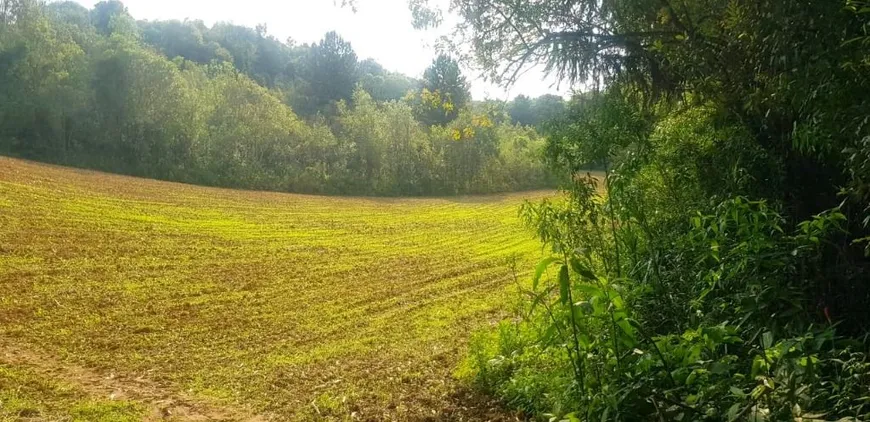 Foto 1 de Lote/Terreno à venda, 48400m² em Colônia Balbino Cunha, Campo Largo