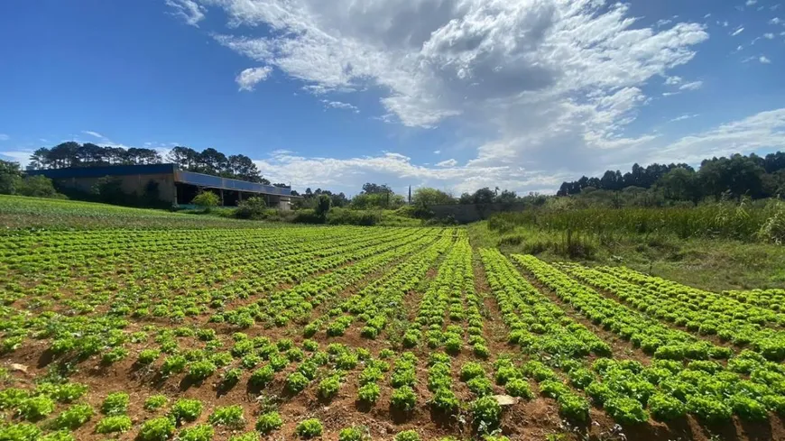 Foto 1 de Lote/Terreno à venda, 500m² em Areia Vermelha, Ibiúna