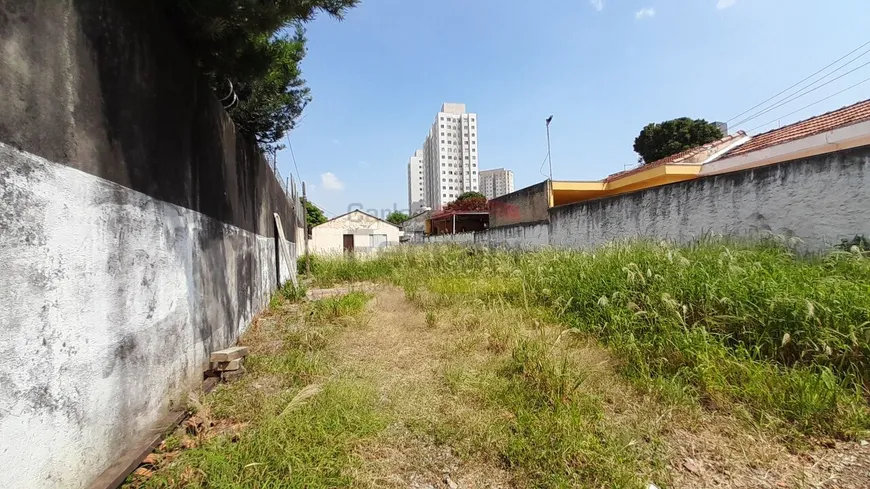 Foto 1 de Lote/Terreno para venda ou aluguel, 500m² em Vila Ré, São Paulo