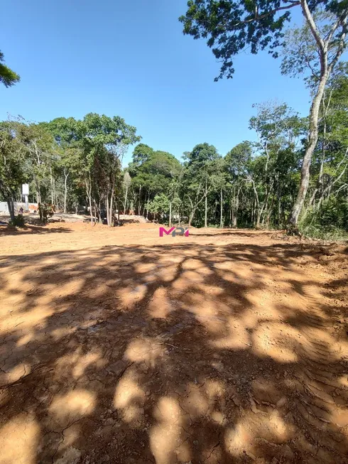 Foto 1 de Lote/Terreno à venda, 5880m² em , Itupeva