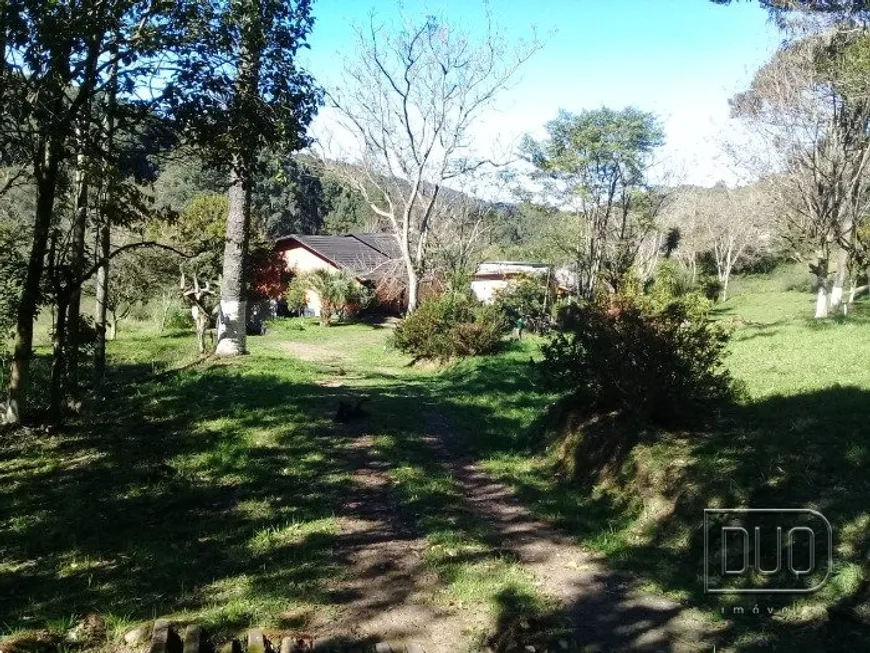 Foto 1 de Fazenda/Sítio com 3 Quartos à venda, 20000m² em Desvio Rizzo, Caxias do Sul