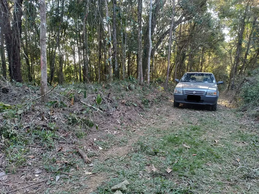 Foto 1 de Lote/Terreno à venda, 4471m² em Centro, Juquitiba