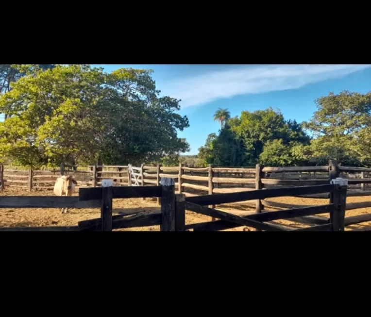 Foto 1 de Fazenda/Sítio à venda em Centro, Buritis