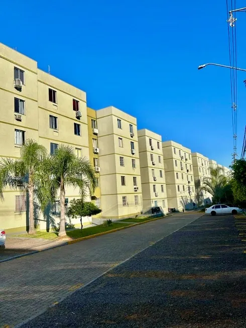 Foto 1 de Apartamento com 2 Quartos para venda ou aluguel, 45m² em Pasqualini, Sapucaia do Sul