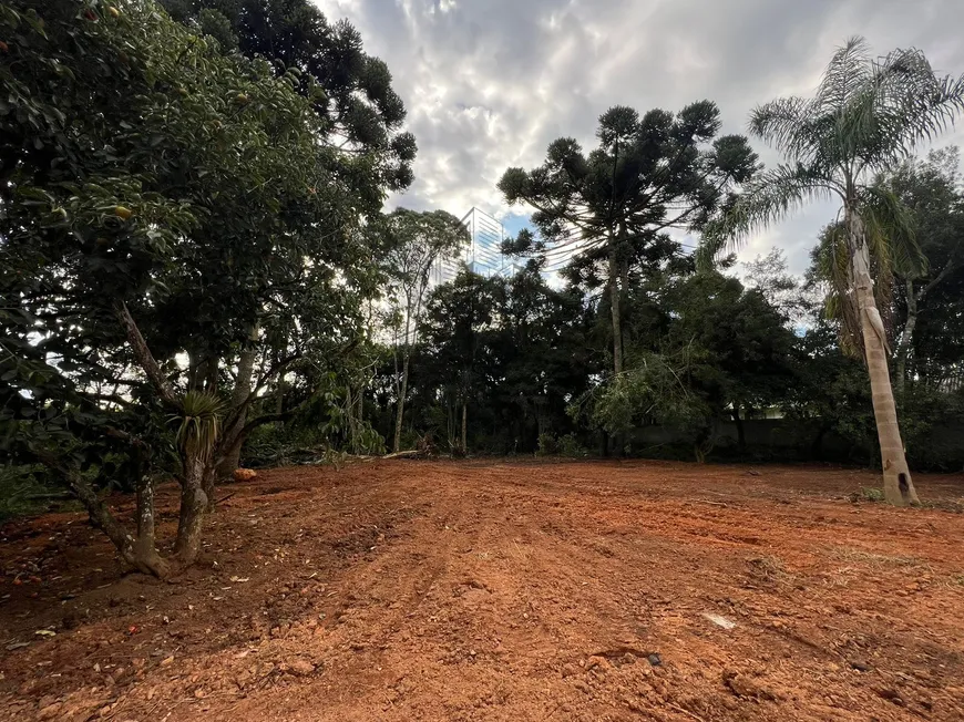 Foto 1 de Lote/Terreno à venda, 1600m² em Planta Meireles, Piraquara