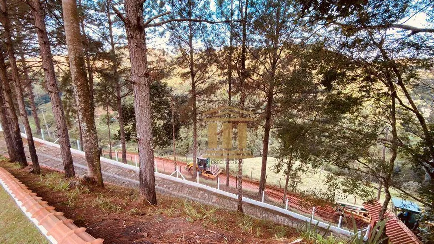 Foto 1 de Fazenda/Sítio com 3 Quartos à venda, 24000m² em Dos Souzas, Monteiro Lobato