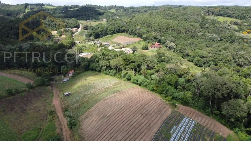 Foto 1 de Fazenda/Sítio com 1 Quarto à venda, 60m² em Centro, Piedade