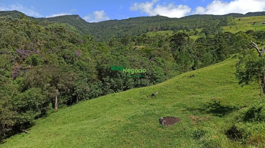 Foto 1 de Fazenda/Sítio à venda, 32000m² em Centro, Guaratinguetá