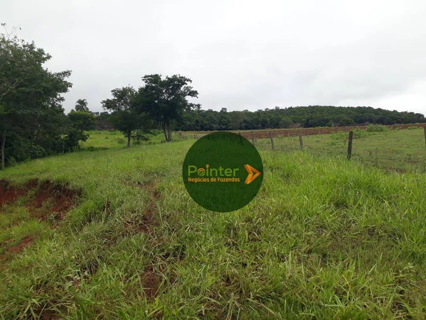 Foto 1 de Fazenda/Sítio à venda, 3678400m² em Zona Rural, Pontalina