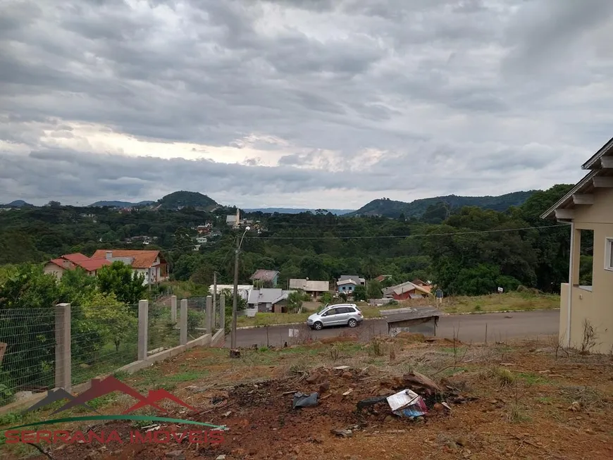 Foto 1 de Lote/Terreno à venda, 490m² em Vale Verde, Nova Petrópolis