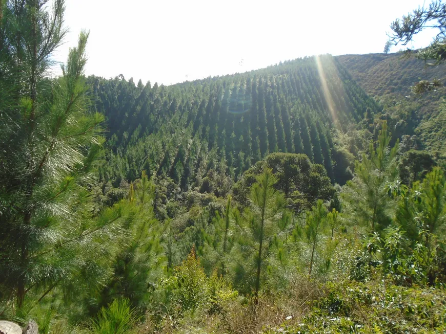 Foto 1 de Fazenda/Sítio com 2 Quartos à venda, 2213440m² em , Tunas do Paraná