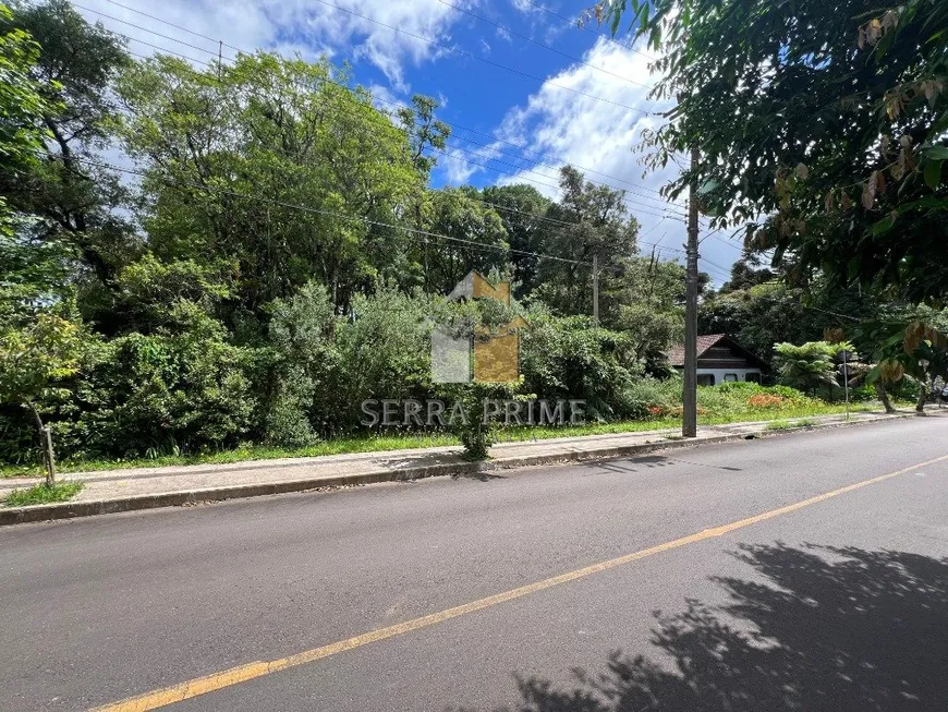 Foto 1 de Lote/Terreno à venda, 625m² em Vila Suica, Gramado