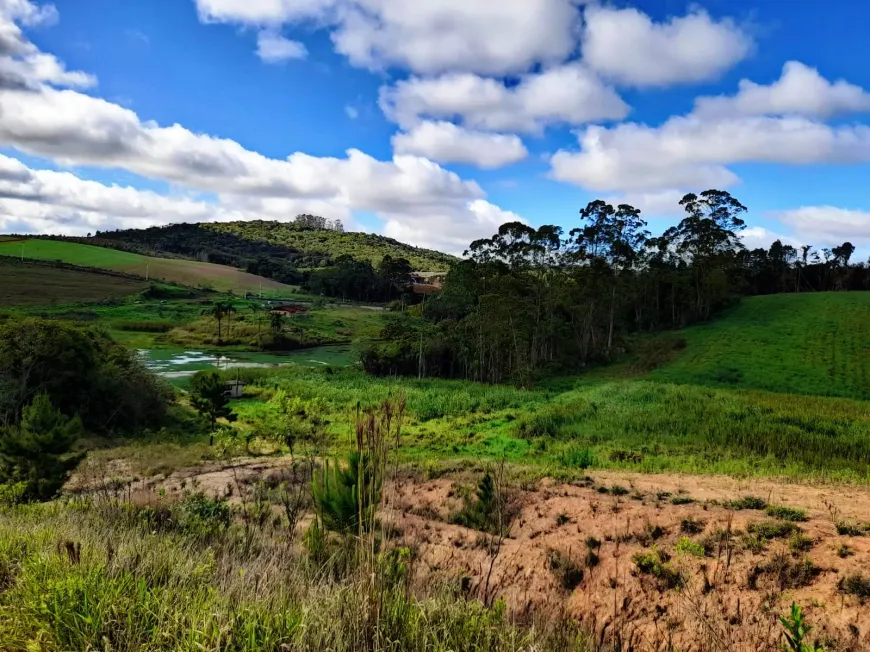 Foto 1 de Lote/Terreno à venda, 500m² em Bairro do Maranhão, Cotia