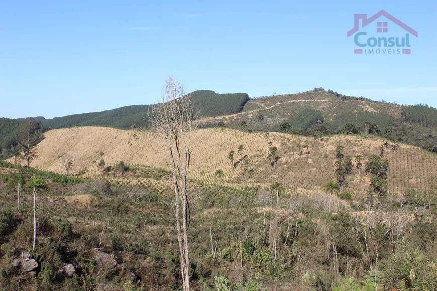 Foto 1 de Lote/Terreno à venda, 2529074m² em Itambezinho, Campo Largo