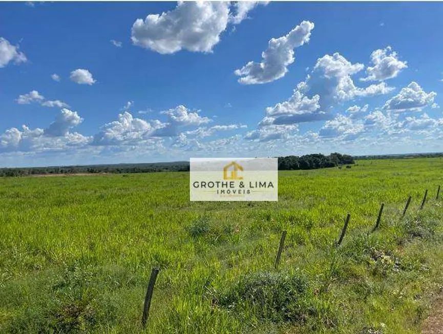 Foto 1 de Fazenda/Sítio com 2 Quartos à venda, 60m² em Zona Rural, Pedro Afonso